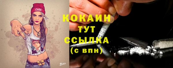 меф Бородино