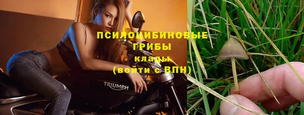 прущий лед Бронницы